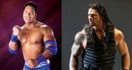 The average looking 'Rock' and the bulkier 'Reigns'